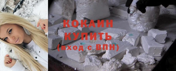 прущие грибы Бугульма