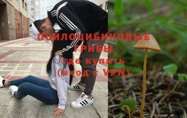 прущий лед Богородицк