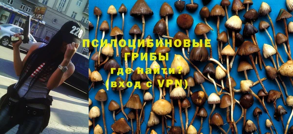 каннабис Богданович
