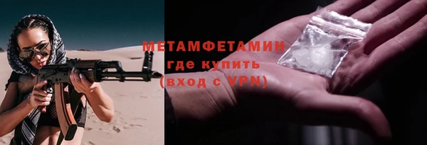прущие грибы Бронницы