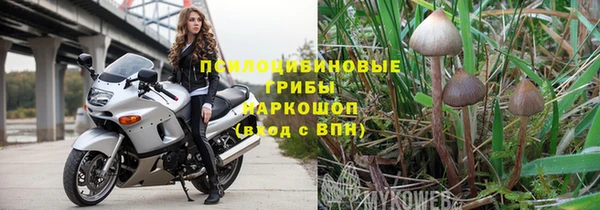 прущие грибы Бронницы
