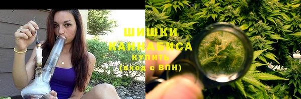 прущие грибы Бронницы